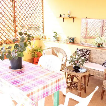 Arato Summer * Trappeto (Sicily)